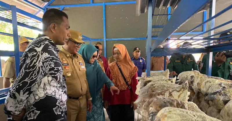 Wakili Mubar di Lomba Desa Tematik, Desa Parura Jaya Punya Banyak Potensi