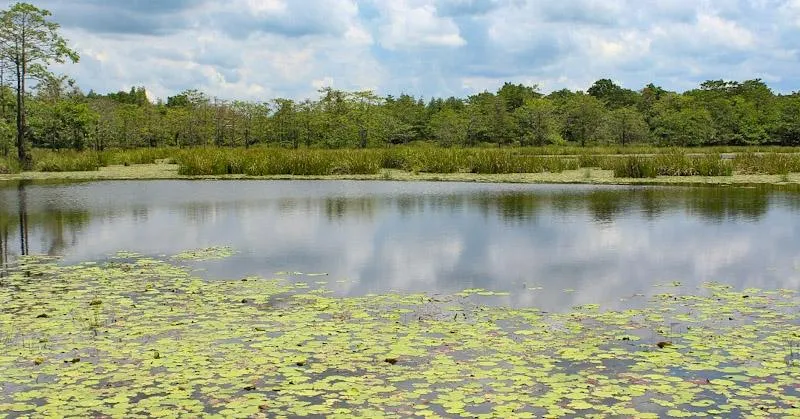 Menyusuri Ragam Pesona Wisata di Desa Laiba Muna 