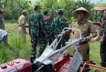 Pemkab Mubar Berikan Bantuan Alsintan, Pupuk dan Benih kepada Petani Pemkab Mubar Berikan Bantuan Alsintan, Pupuk dan Benih kepada Petani