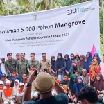 PLN Sulselrabar, Komunitas dan Pemkab Wakatobi Tanam 5.000 Mangrove di Pantai Melaione PLN Sulselrabar, Komunitas dan Pemkab Wakatobi Tanam 5.000 Mangrove di Pantai Melaione