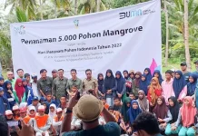 PLN Sulselrabar, Komunitas dan Pemkab Wakatobi Tanam 5.000 Mangrove di Pantai Melaione PLN Sulselrabar, Komunitas dan Pemkab Wakatobi Tanam 5.000 Mangrove di Pantai Melaione
