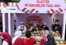 Indeks Bisnis UMKM BRI Q3 2022: Bisnis UMKM Tetap Tumbuh di Tengah Kenaikan Inflasi Indeks Bisnis UMKM BRI Q3 2022: Bisnis UMKM Tetap Tumbuh di Tengah Kenaikan Inflasi