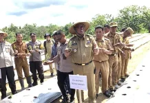 Tekan Inflasi, Pemkab Mubar Resmi Launching Gerakan Tanam Cabai Tekan Inflasi, Pemkab Mubar Resmi Launching Gerakan Tanam Cabai