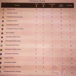 Kota Baubau Berada di Puncak Perolehan Sementara Medali Porprov Sultra 2022 Kota Baubau Berada di Puncak Perolehan Sementara Medali Porprov Sultra 2022