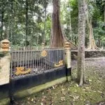 Kawasan Makam Sangia Nibandera