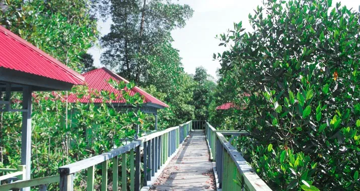 Desa Watu Ondo di Konkep dan Potensi Wisata Kulinernya