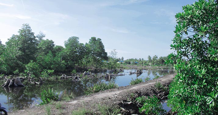 Lokasi pengembangan tambak ikan bandeng dan undang di Desa Watu Ondo.