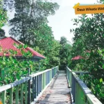 Desa Watu Ondo di Konkep dan Potensi Wisata Kulinernya Desa Watu Ondo di Konkep dan Potensi Wisata Kulinernya