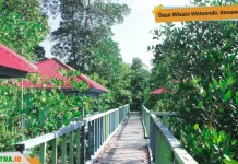 Desa Watu Ondo di Konkep dan Potensi Wisata Kulinernya Desa Watu Ondo di Konkep dan Potensi Wisata Kulinernya
