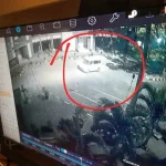 Pencurian Motor di Fakultas Kehutanan UHO Terekam CCTV, Pelaku Gunakan Mobil Pencurian Motor di Fakultas Kehutanan UHO Terekam CCTV, Pelaku Gunakan Mobil