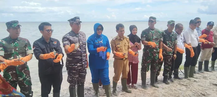 Rangkaian Hari Nusantara di Wakatobi Diwarnai Pelepasan Tukik dan Penanaman Mangrove