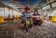 UMKM Makin Tangguh, BRI Telah Rampungkan 54,5% Restrukturisasi Kredit Covid-19 UMKM Makin Tangguh, BRI Telah Rampungkan 54,5% Restrukturisasi Kredit Covid-19