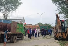 Antisipasi Pohon Tumbang, Pemkot Kendari Lakukan Penataan Kota Antisipasi Pohon Tumbang, Pemkot Kendari Lakukan Penataan Kota