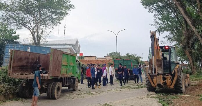 Antisipasi Pohon Tumbang, Pemkot Kendari Lakukan Penataan Kota