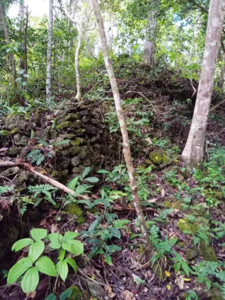 Mengenal Benteng Lakawale, Cagar Budaya yang Ada di Muna Barat