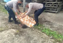 Warga Lapulu Kendari Digegerkan Penemuan Mayat Tanpa Identitas di Gudang Meubel Warga Lapulu Kendari Digegerkan Penemuan Mayat Tanpa Identitas di Gudang Meubel