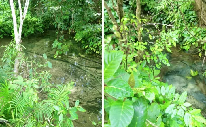 Mengenal Benteng Lakawale, Cagar Budaya yang Ada di Muna Barat