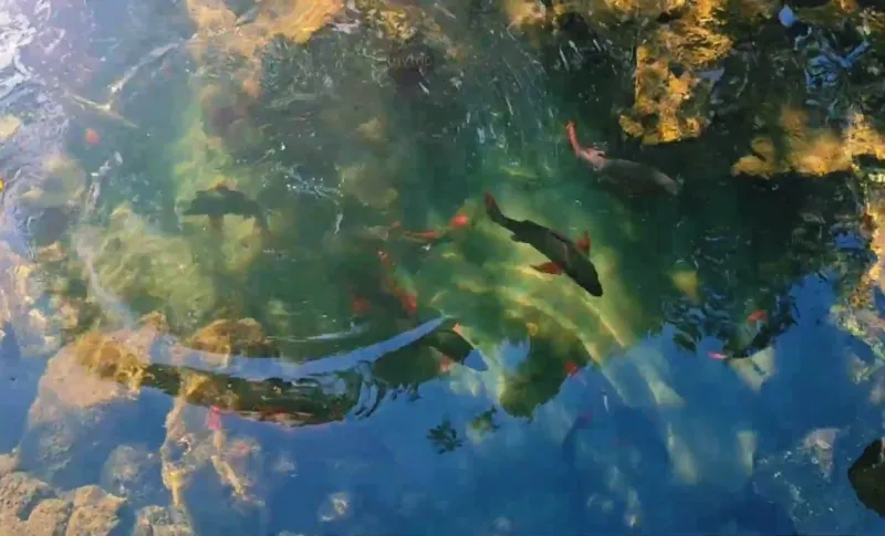 Uniknya Desa Wisata Wasuemba di Buton, Perpaduan Wisata Alam dan Budaya