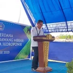 Harap Inflasi Stabil, BI dan Pemkot Kendari Tanam Cabe dan Bawang Merah Harap Inflasi Stabil, BI dan Pemkot Kendari Tanam Cabe dan Bawang Merah