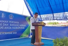 Harap Inflasi Stabil, BI dan Pemkot Kendari Tanam Cabe dan Bawang Merah Harap Inflasi Stabil, BI dan Pemkot Kendari Tanam Cabe dan Bawang Merah