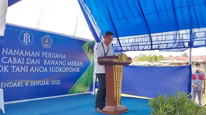 Harap Inflasi Stabil, BI dan Pemkot Kendari Tanam Cabe dan Bawang Merah