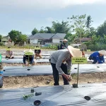 BI Sultra Dorong Kendari Jadi Kota Agropolitan BI Sultra Dorong Kendari Jadi Kota Agropolitan