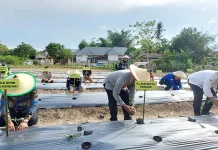 BI Sultra Dorong Kendari Jadi Kota Agropolitan BI Sultra Dorong Kendari Jadi Kota Agropolitan