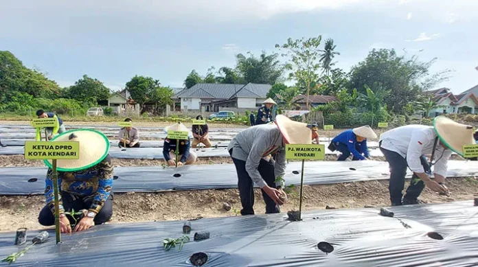 BI Sultra Dorong Kendari Jadi Kota Agropolitan