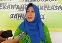Dinas Ketapang Sebut Stok Pangan di Kendari Sampai Lebaran Idulfitri 2023 Kepala Dinas (Kadis) Ketapang Kendari, Hasria