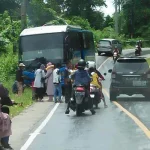 Tiga Mobil Terlibat Tabrakan Beruntun di Warangga Muna Tiga Mobil Terlibat Tabrakan Beruntun di Warangga Mubar