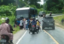 Tiga Mobil Terlibat Tabrakan Beruntun di Warangga Muna Tiga Mobil Terlibat Tabrakan Beruntun di Warangga Mubar