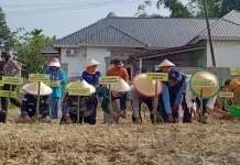 Ini Strategi Pj Wali Kota Kendalikan Inflasi di Kendari Ini Strategi Pj Wali Kota Kendalikan Inflasi di Kendari