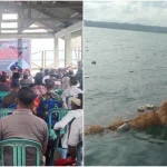 Kelompok Budi Daya di Kaledupa Selatan Panen Raya Rumput Laut Kelompok Budi Daya di Kaledupa Selatan Panen Raya Rumput Laut