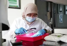 Karantina Pertanian Kendari Periksa Sampel Tepung Kelapa yang Bakal Diekspor ke Uni Emirat Arab Karantina Pertanian Kendari Periksa Sampel Tepung Kelapa yang Bakal Diekspor ke Uni Emirat Arab