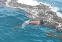 Nelayan Baubau yang Hilang di Perairan Buteng Ditemukan Meninggal Nelayan Baubau yang Hilang di Perairan Buteng Ditemukan Meninggal