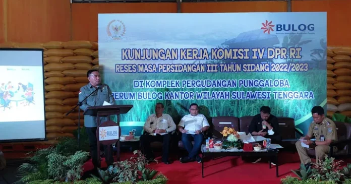Pemkot Kendari ke Komisi IV DPR RI: Minta Bantuan untuk Pengembagan Lahan Pertanian Pemkot Kendari ke Komisi IV DPR RI: Minta Bantuan untuk Pengembagan Lahan Pertanian