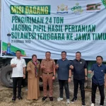 Sultra Kirim 24 Ton Jagung Pipil ke Jawa Timur Sultra Kirim 24 Ton Jagung Pipil ke Jawa Timur