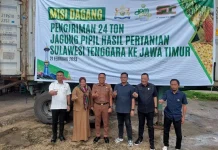Sultra Kirim 24 Ton Jagung Pipil ke Jawa Timur Sultra Kirim 24 Ton Jagung Pipil ke Jawa Timur