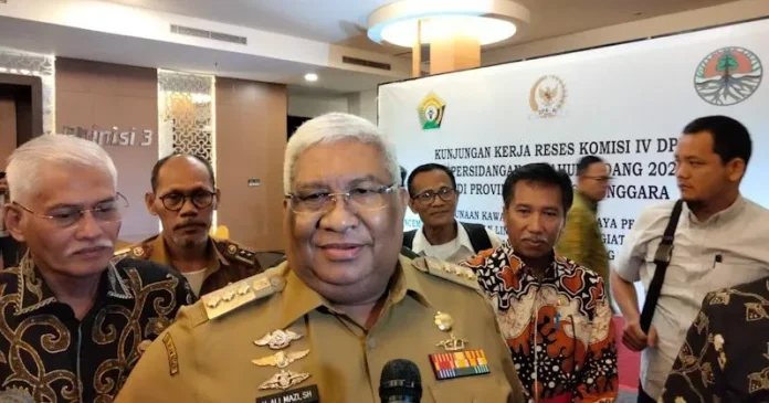 Gubernur Sultra Minta Regulasi Tambang Kembali Dikontrol Daerah