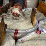 Disketapang dan Bulog Sultra Siapkan 321 Kios, Jual Beras dan Migor sesuai HET Disketapang dan Bulog Sultra Siapkan 321 Kios, Jual Beras dan Migor sesuai HET