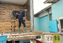 51 Ton Ikan dan Gurita Asal Sultra Dikirim ke Jawa Timur 51 Ton Ikan dan Gurita Asal Sultra Dikirim ke Jawa Timur