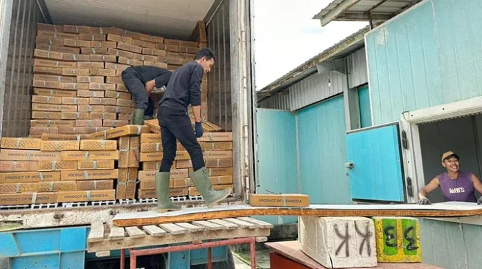 51 Ton Ikan dan Gurita Asal Sultra Dikirim ke Jawa Timur