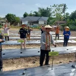 BI Perluas Program ‘TabeDi’ di Sultra BI Perluas Program 'TabeDi' di Sultra