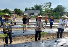 BI Perluas Program ‘TabeDi’ di Sultra BI Perluas Program 'TabeDi' di Sultra