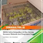 17963961212152619_zonasultraid