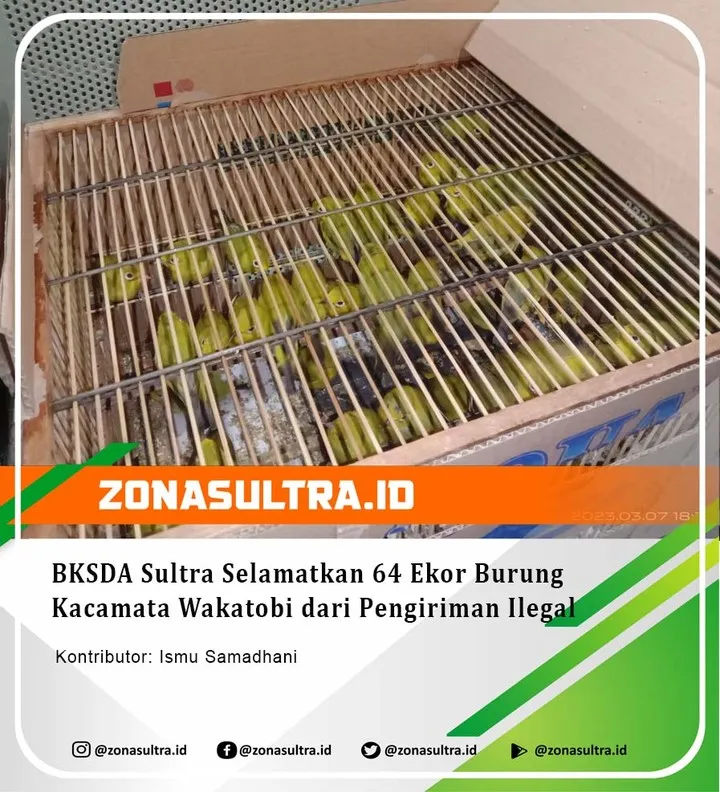 17963961212152619_zonasultraid