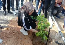 Tina Nur Alam Ikut Aksi Penanaman 150 Pohon IKA FISIP UHO Tina Nur Alam Ikut Aksi Penanaman 150 Pohon IKA FISIP UHO