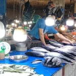 Jelang Ramadan, Harga Ikan dan Daging Ayam di Kendari Mulai Naik Jelang Ramadan, Harga Ikan dan Daging Ayam di Kendari Mulai Naik