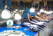Jelang Ramadan, Harga Ikan dan Daging Ayam di Kendari Mulai Naik Jelang Ramadan, Harga Ikan dan Daging Ayam di Kendari Mulai Naik