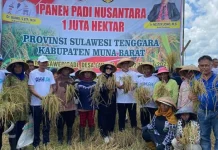 Pj Bupati Bertekad Jadikan Mubar Lumbung Padi Menuju Swasembada Beras Pj Bupati Bertekad Jadikan Mubar Lumbung Padi Menuju Swasembada Beras